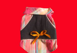 青島、威海、上海高檔寵物服飾用品供應全解析